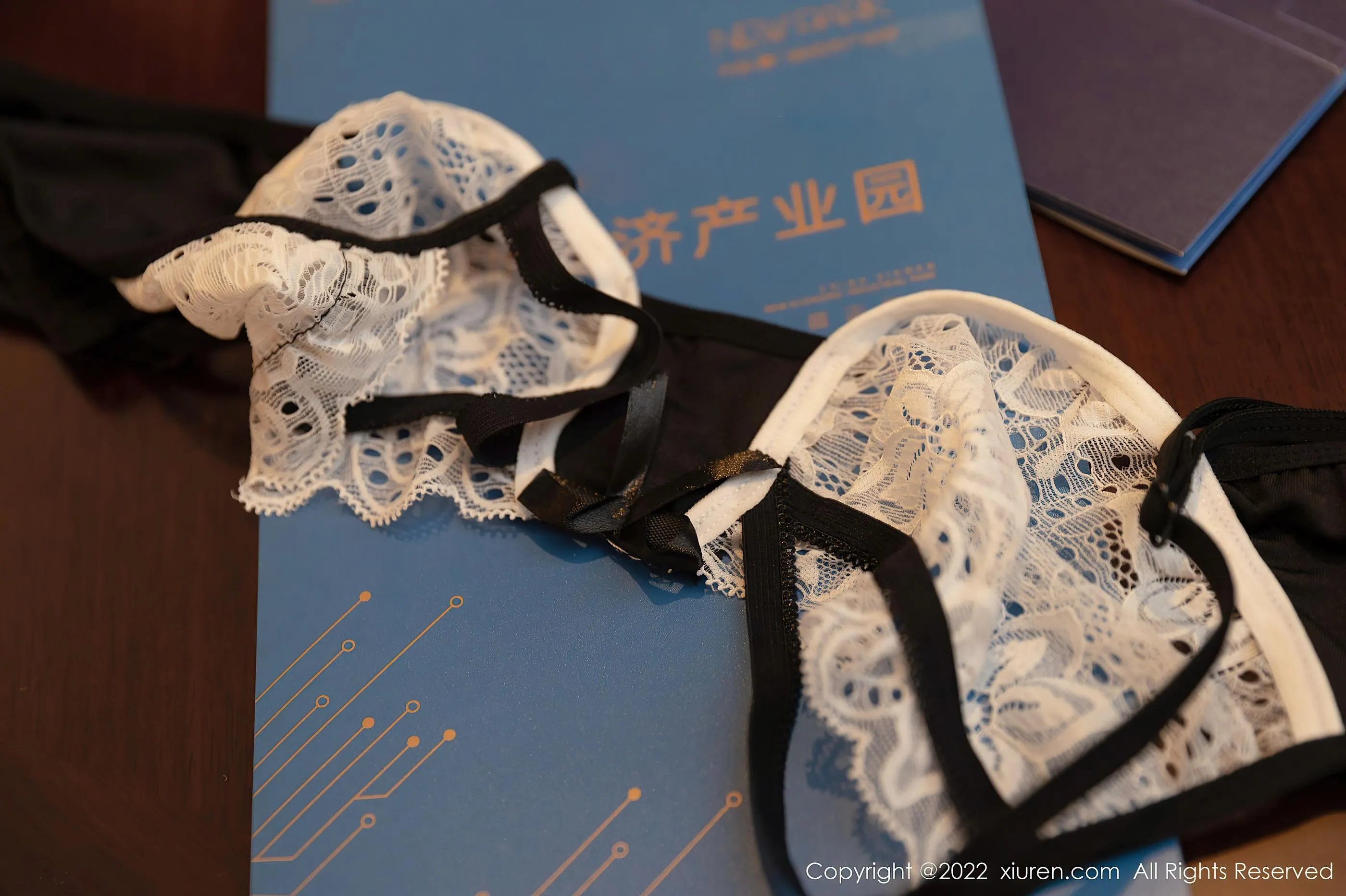 [XIUREN秀人网] 2022.03.25 NO.4775 王雨纯 [50P]插图3